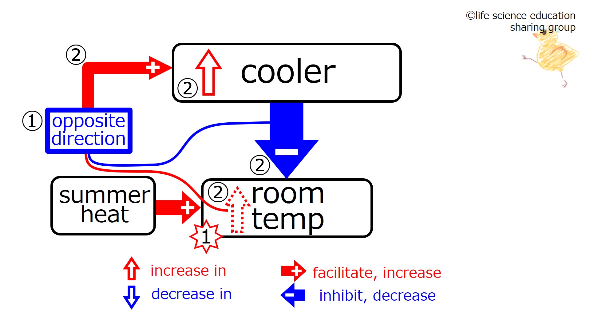 CoolerSummerAfterFeedback-Eng.jpg