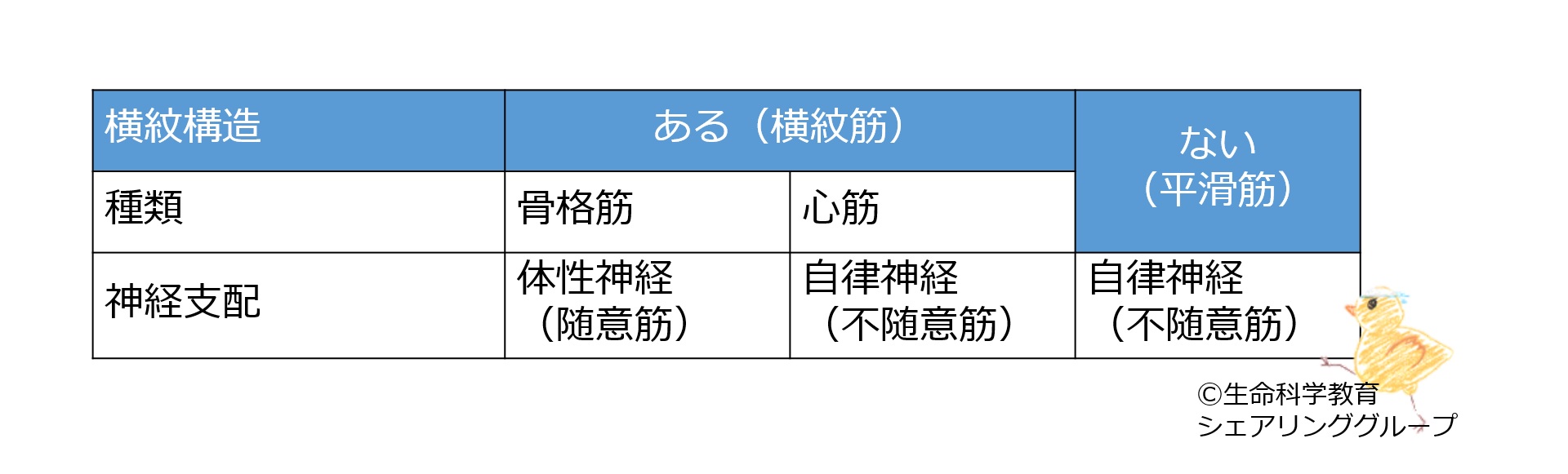 Muscles-intro-table.jpg