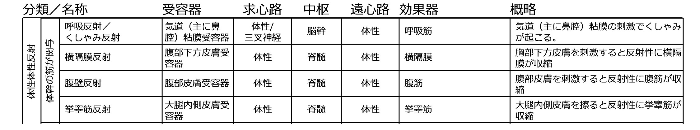 体幹の筋が関与する反射.jpg