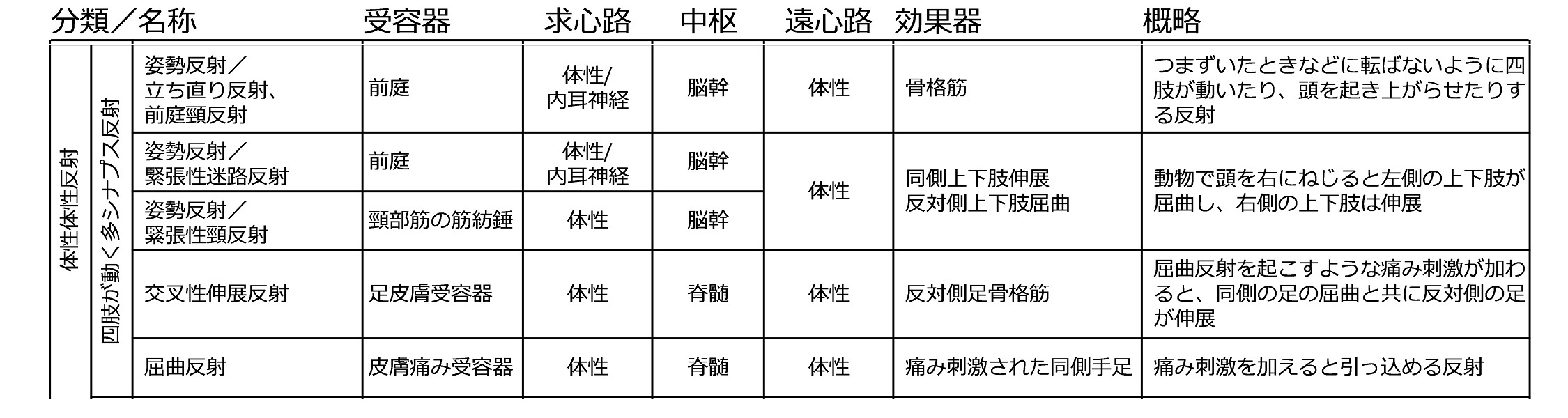 四肢が動く多シナプス反射.jpg