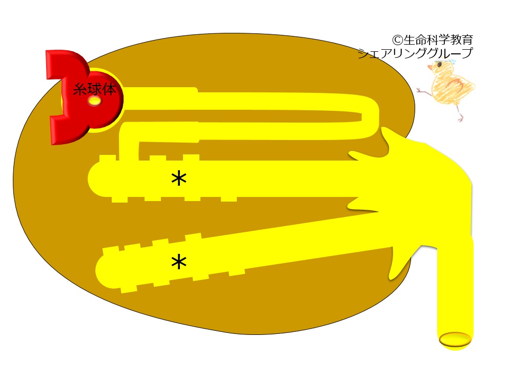 ./images/集合管_小テスト.jpg