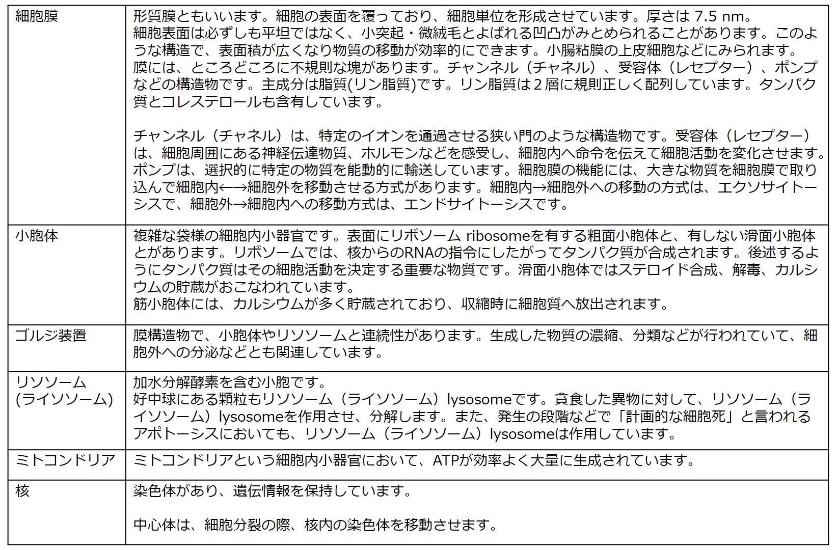 細胞内小器官まとめ表.jpg