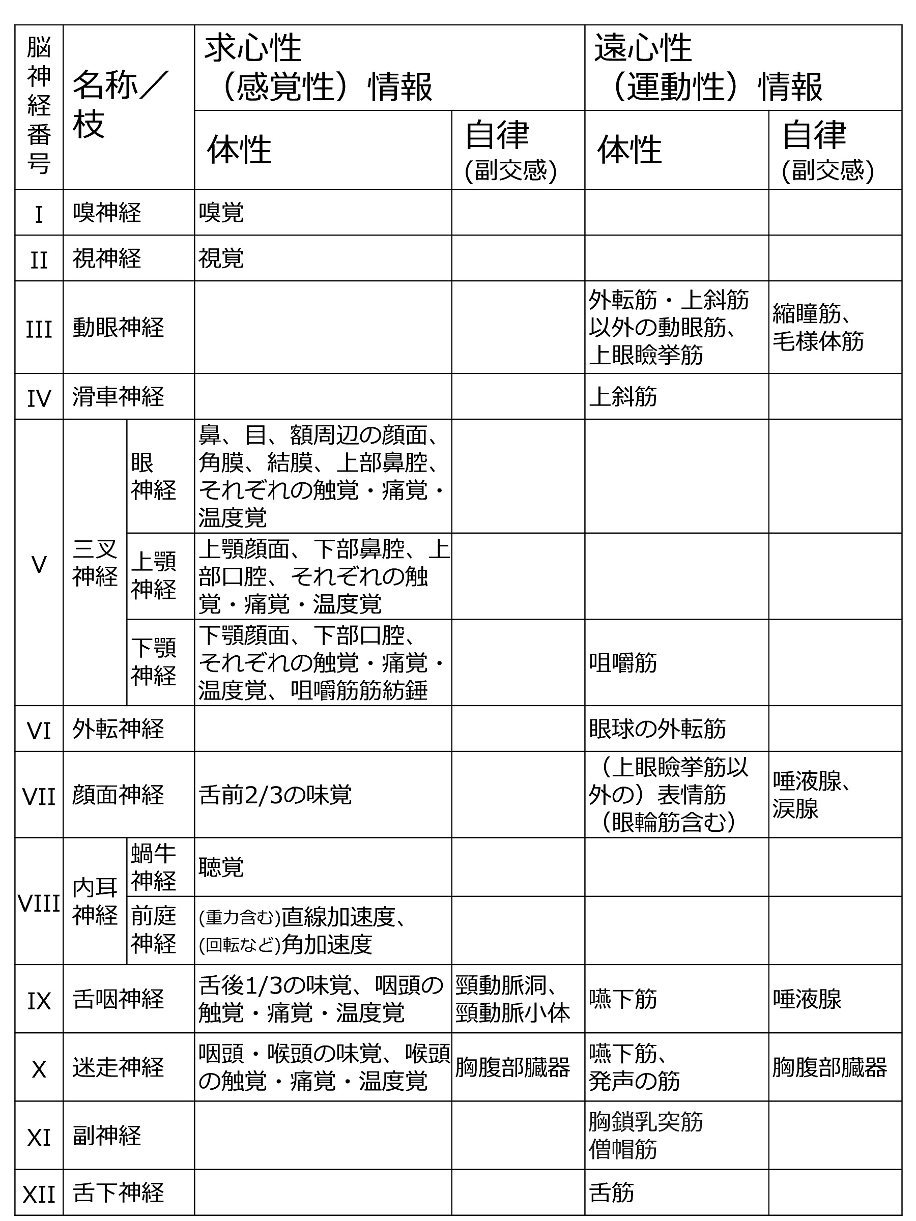 CranialNervesBasicTableJpn.jpg