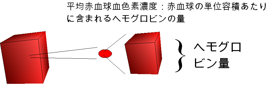 00415.jpg
