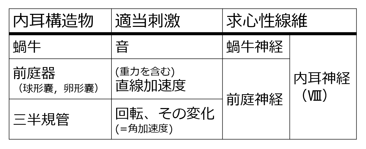 Cranial08BranchesBasicJpn.jpg