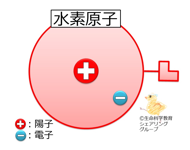 陽子と電子.jpg