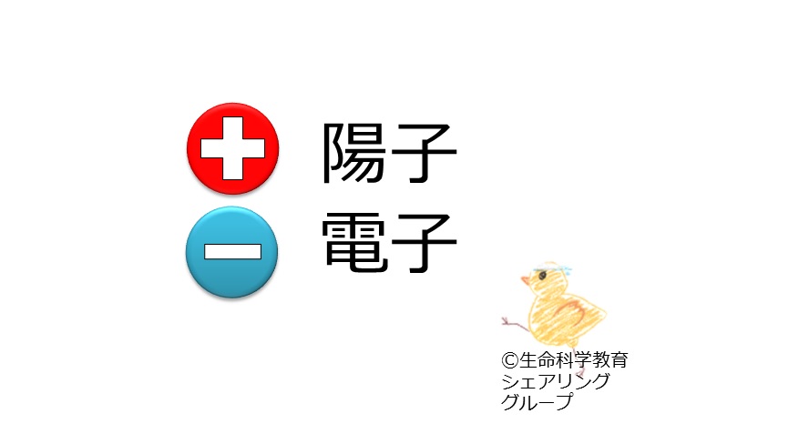 電気的極性.jpg