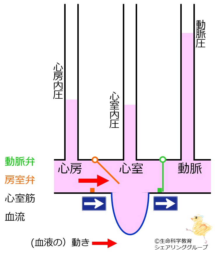 ./images/充満期_クイズ.jpg