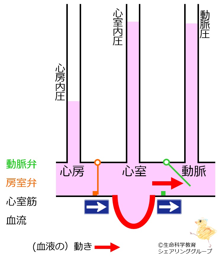 ./images/駆出期_クイズ.jpg