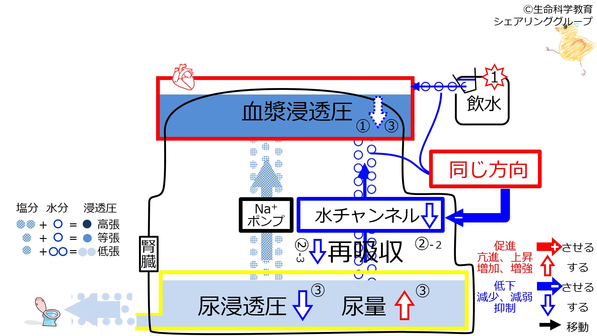 6-waterChannel-control2.jpg