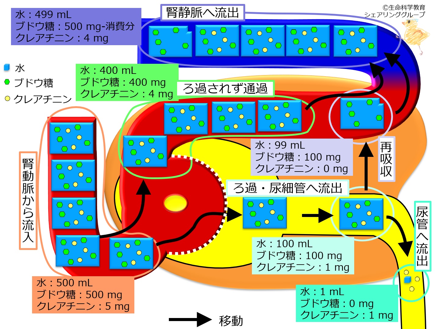 ./images/簡単なまとめ.jpg